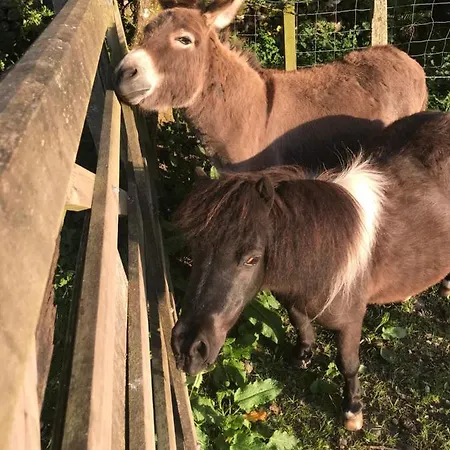 Claremont House Bed & Breakfast Keswick (Cumbria)