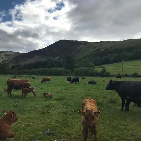 Claremont House Couette-café