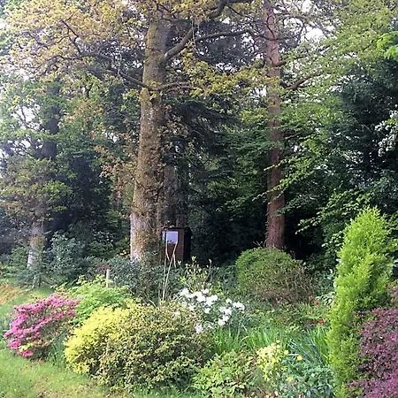 Bed and Breakfast Claremont House Κέσγουικ