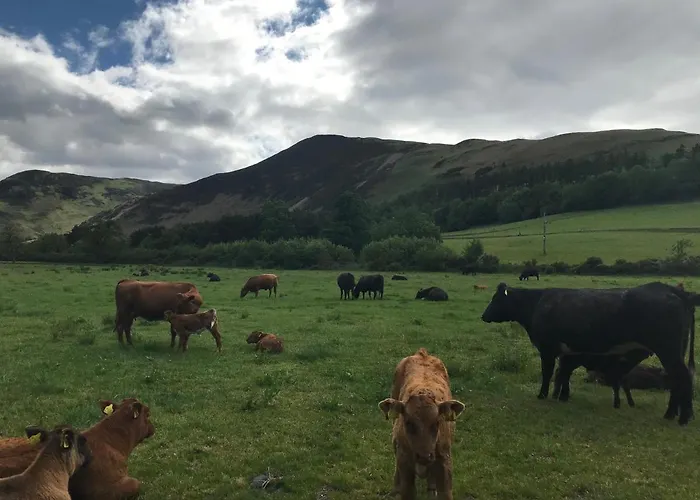 Claremont House Bed & Breakfast