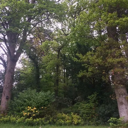 Claremont House Bed & Breakfast 4*