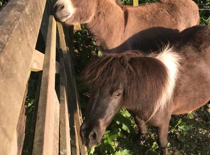 Claremont House Bed & Breakfast Keswick (Cumbria)