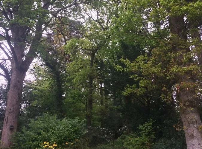 Claremont House Bed & Breakfast 3*